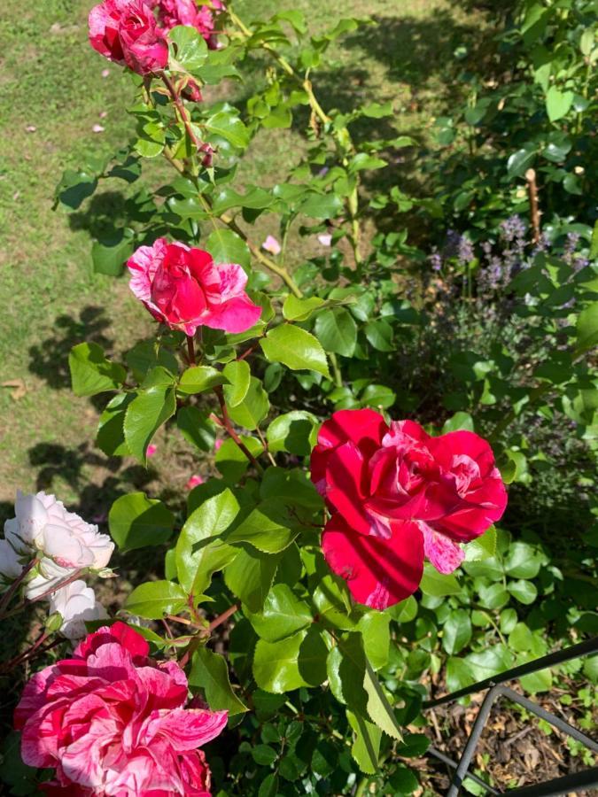 Bezaubernde Mit Garten Und Sauna-nutzung *