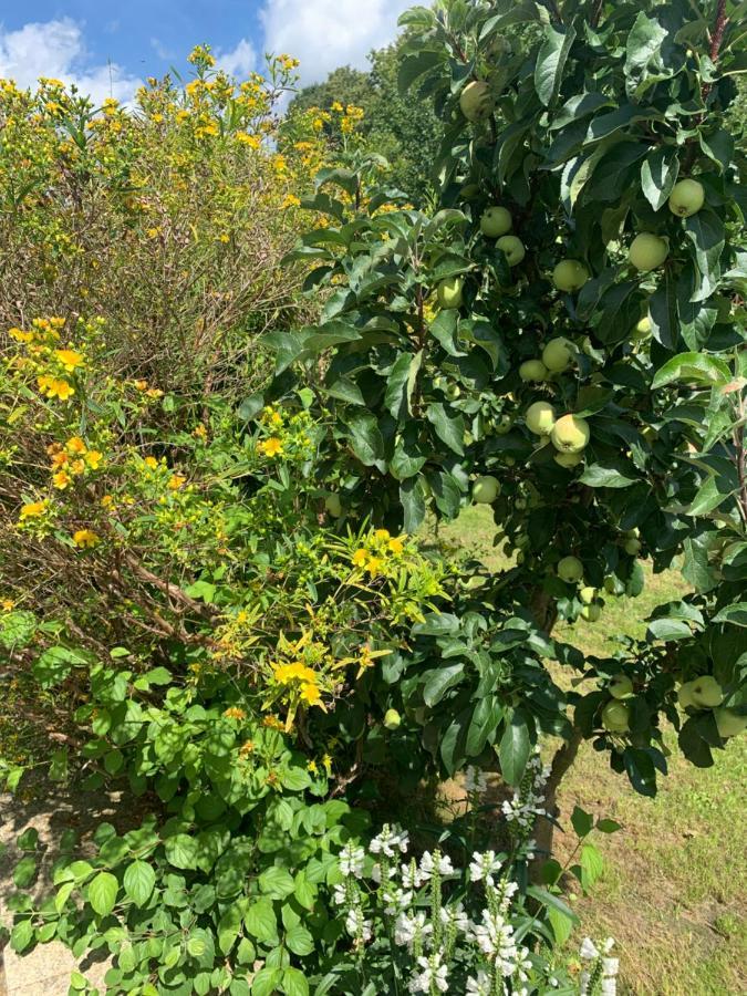 Bezaubernde Mit Garten Und Sauna-nutzung * Waldershof