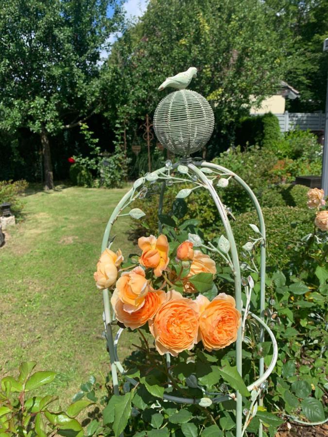Bezaubernde Mit Rosengarten