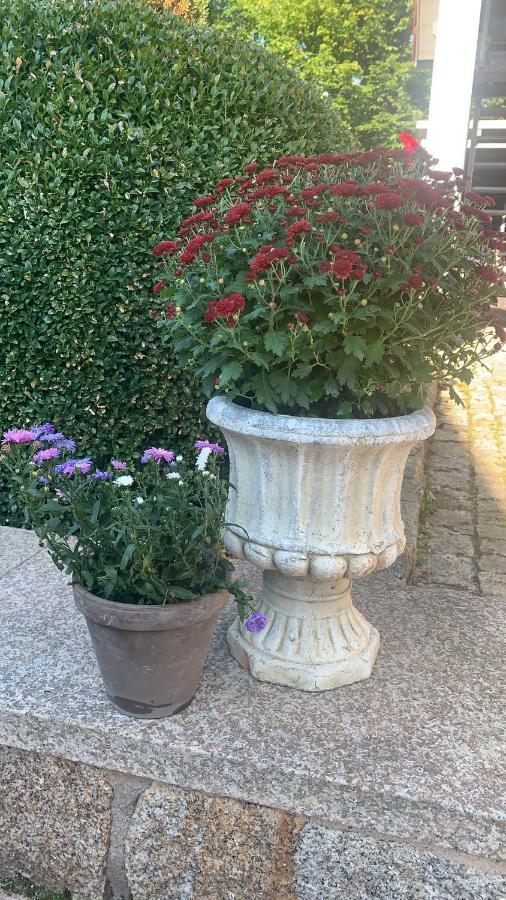Bezaubernde Mit Rosengarten Waldershof